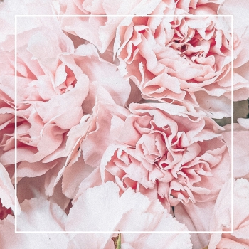 Bouquet Cube »Meine Waschküche ohne unangenehme Gerüche«